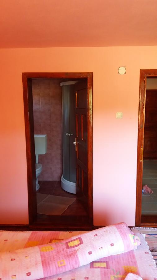 Casa Andreea-Maria Hotel Vartop Exterior photo